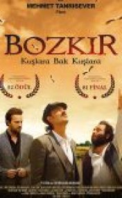 Bozkır Kuşlara Bak Kuşlara