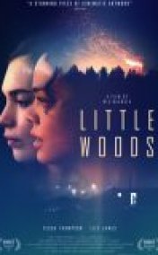 Little Woods